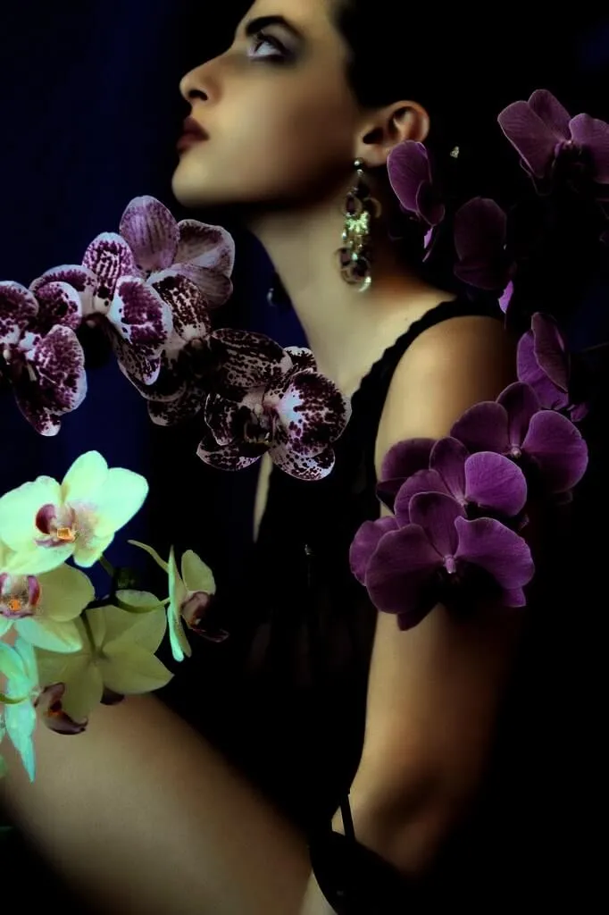 Orchids preview 2