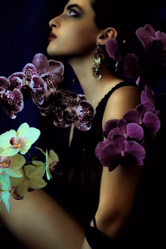 Orchids 2